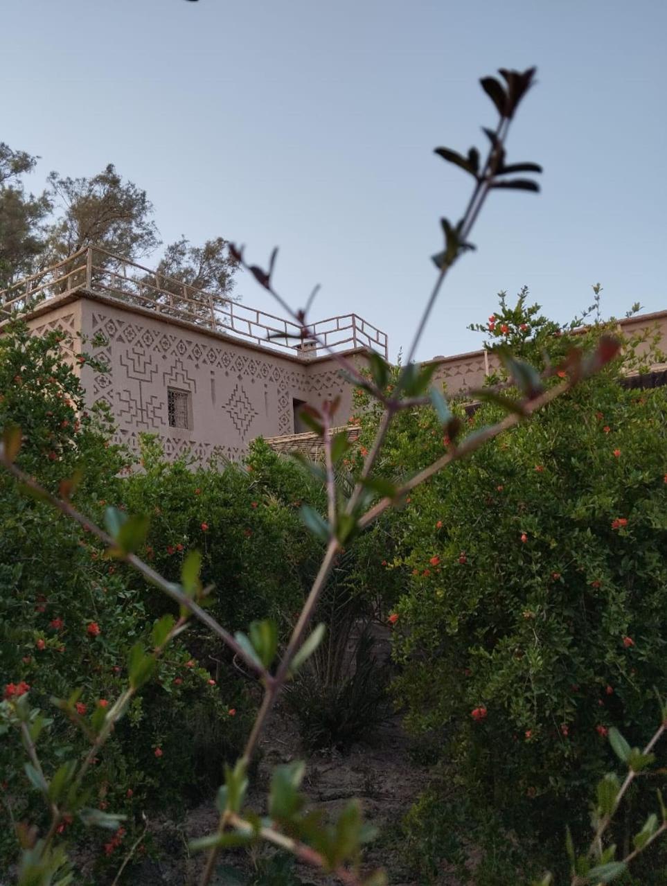 Heritage House Skoura Buitenkant foto